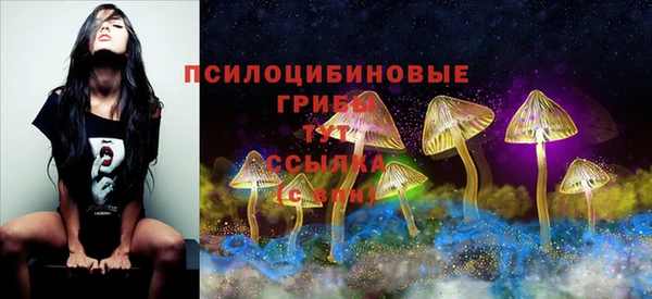spice Алексин