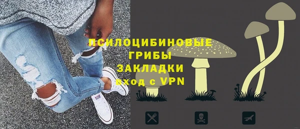 spice Алексин