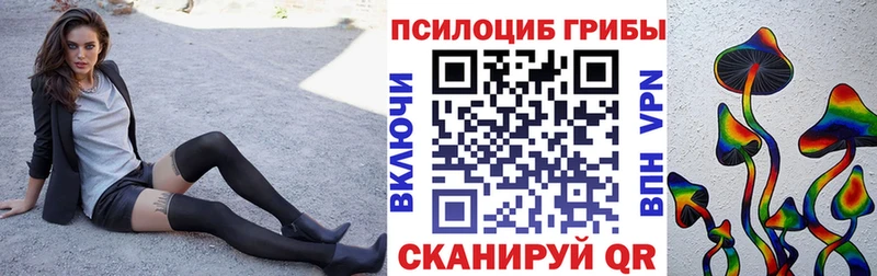 Псилоцибиновые грибы мухоморы  мега зеркало  Елизово 