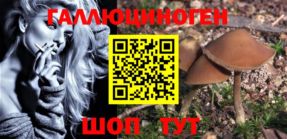Елизово  Галлюциногенные грибы Magic Shrooms  Вход с VPN  Псилоцибиновые грибы MAGIC MUSHROOMS 